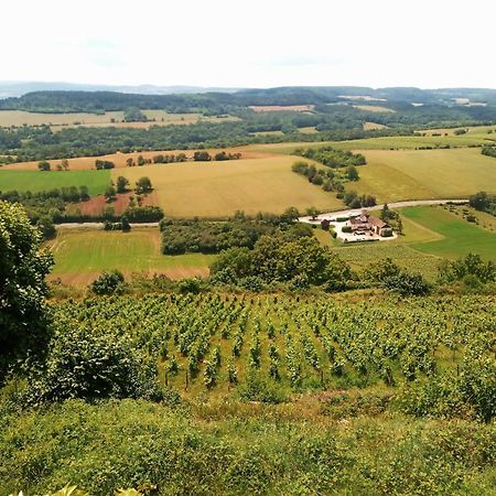 Gite Le Delice Villa Tannay  Esterno foto