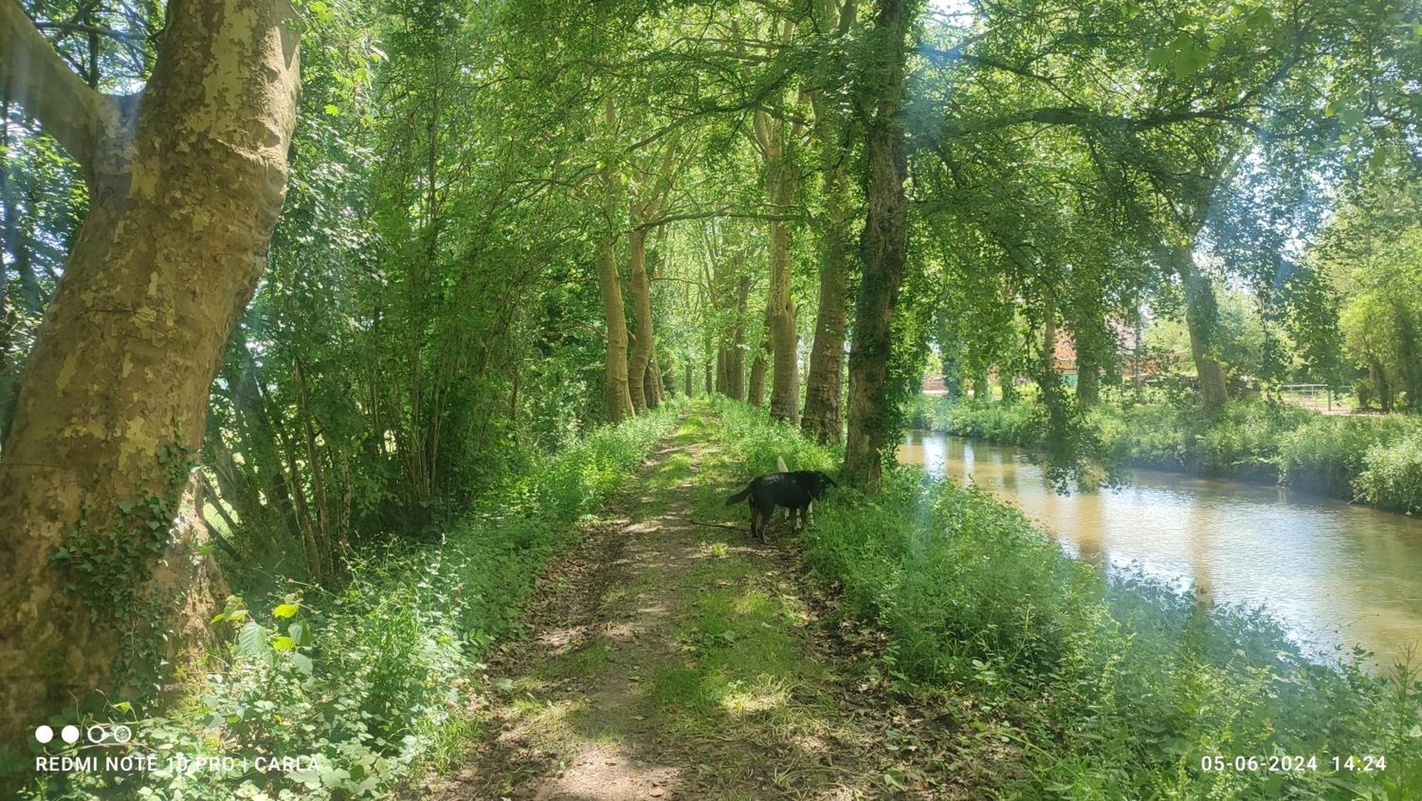 Gite Le Delice Villa Tannay  Esterno foto