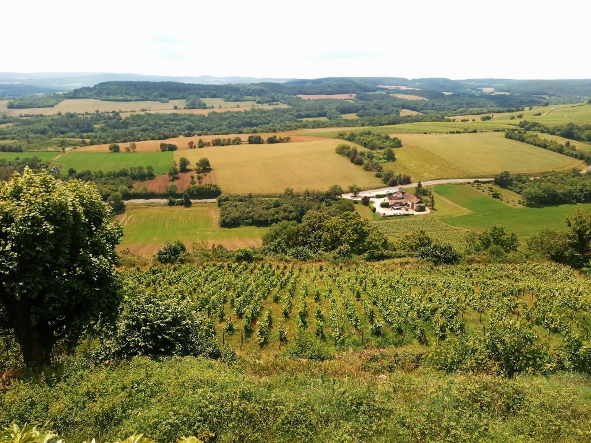 Gite Le Delice Villa Tannay  Esterno foto